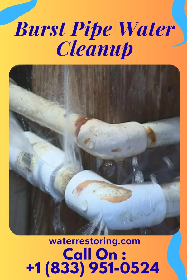 Burst Pipe Water Cleanup in Fairfield Harbour, NC