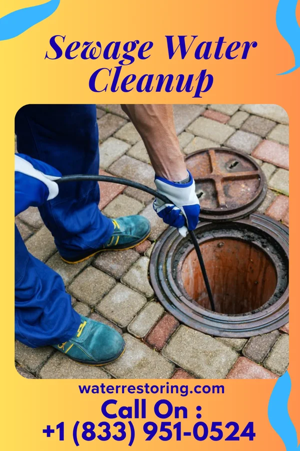 Sewage Water Cleanup in Fairfield Harbour, NC